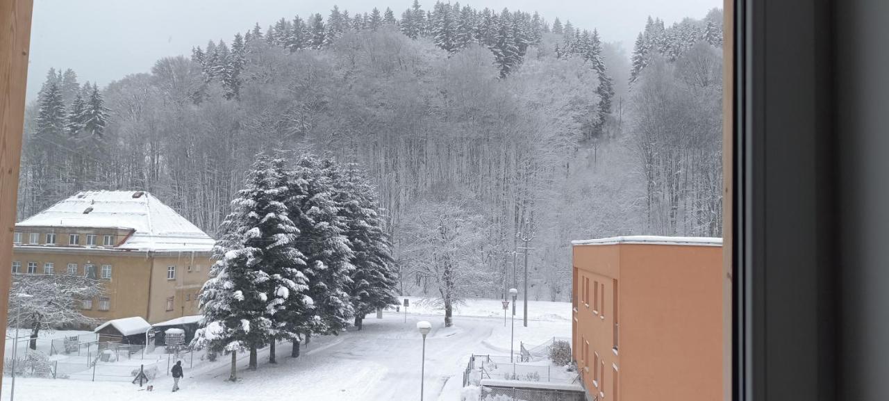Apartman Nely Svoboda nad Úpou Buitenkant foto